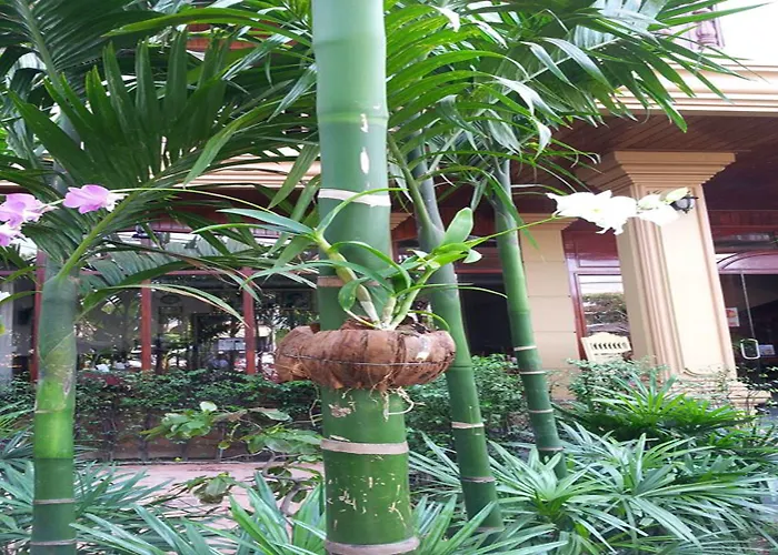Angkor Vattanakpheap 3*